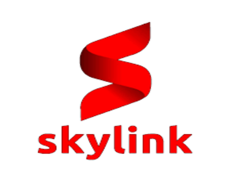 Skylink Retail
